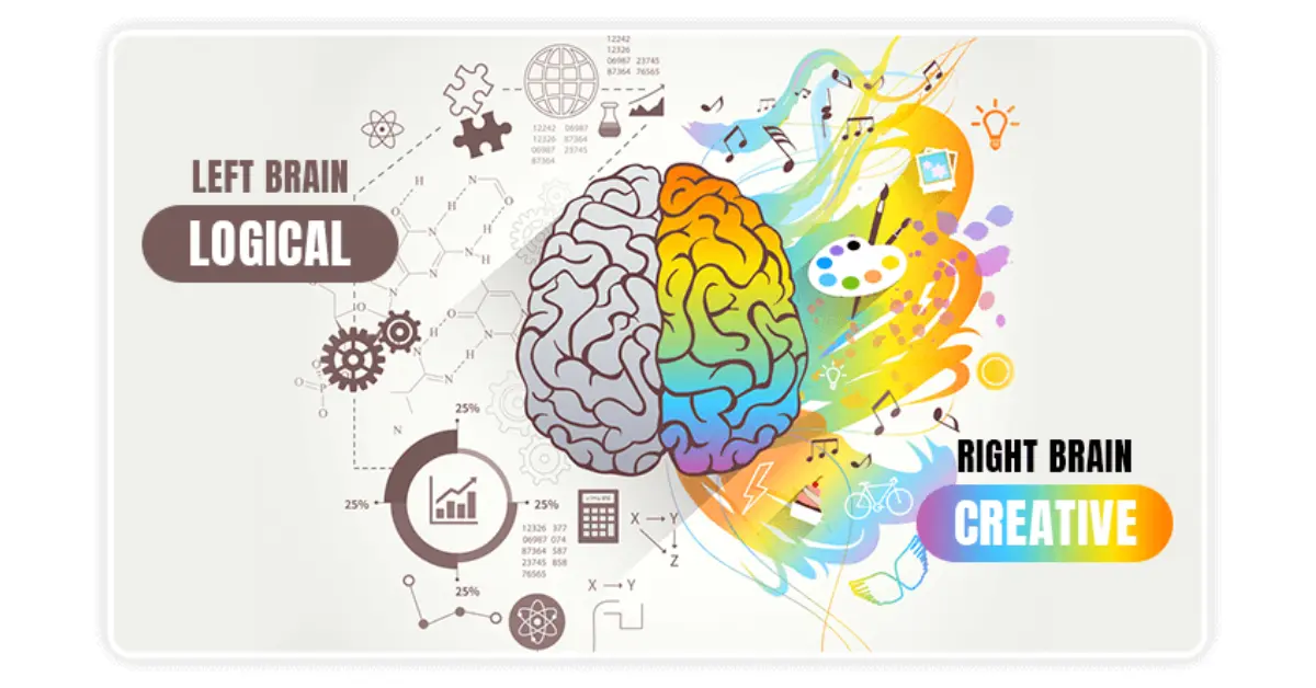 The-Elon-Code-program